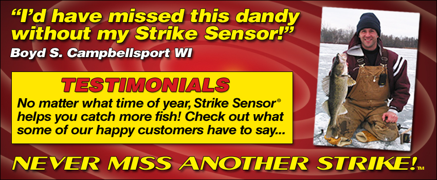 testimonial-banner.jpg testimonial-banner.jpg